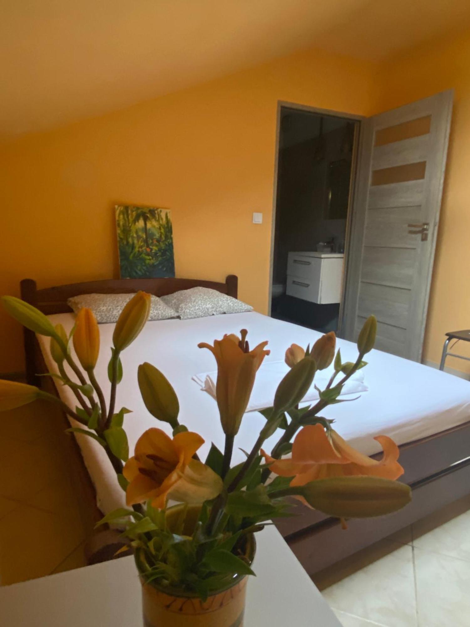 Art Inn Space Krakow Ngoại thất bức ảnh